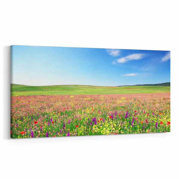 20×40″ Canvas Print