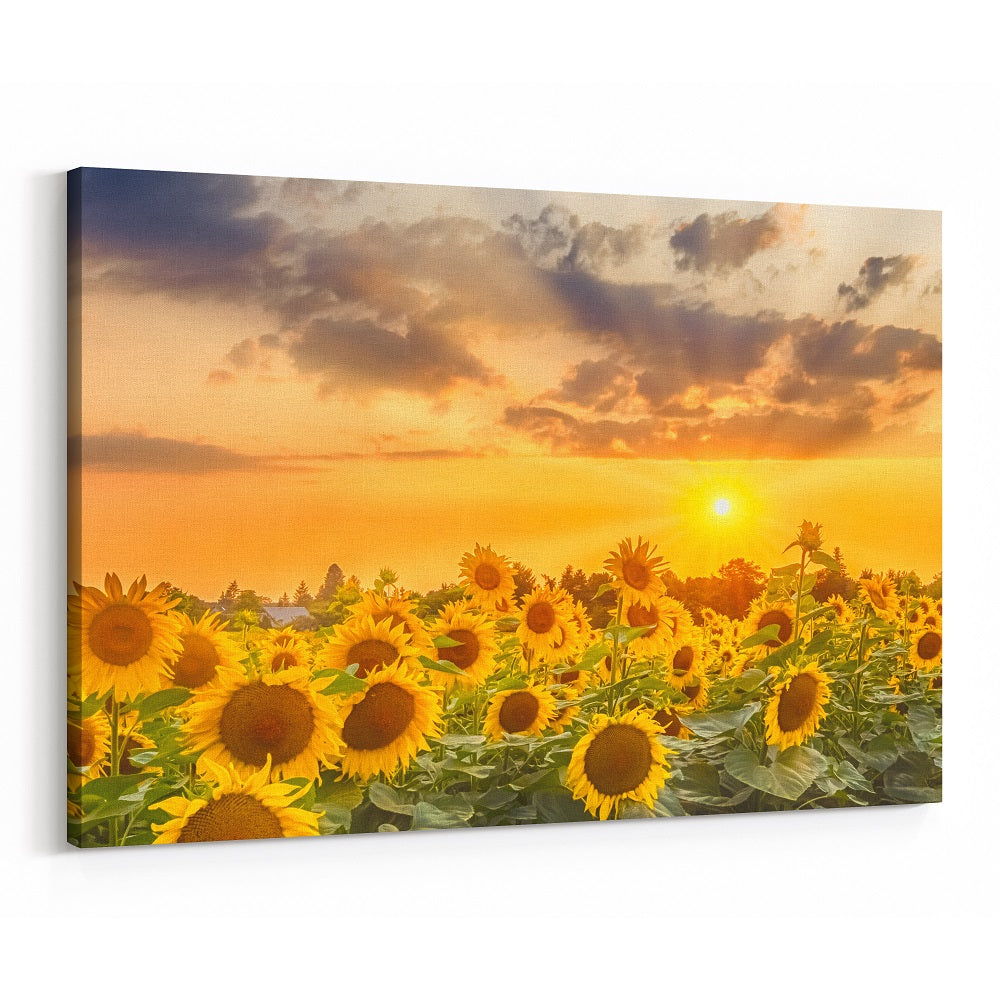 32×48″ Canvas Print