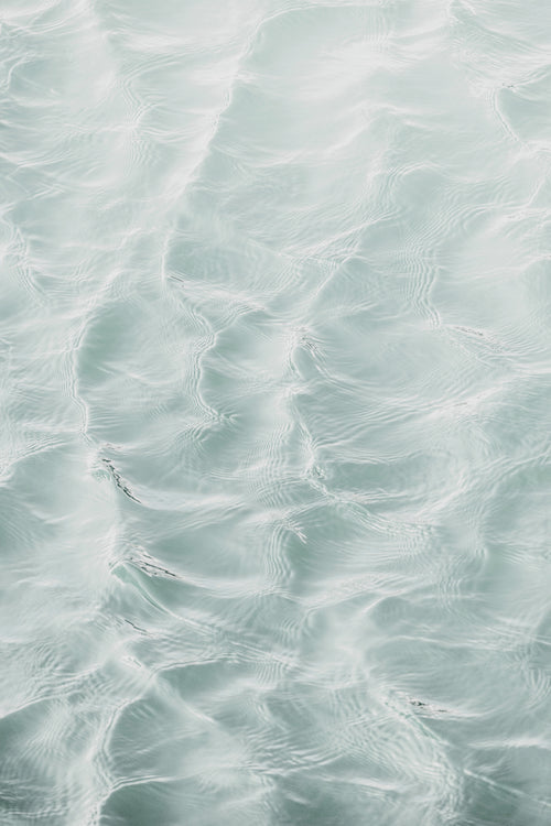 01642 by Kathrin Pienaar