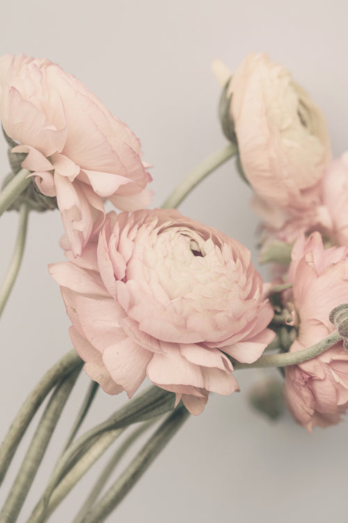 01644 by Kathrin Pienaar