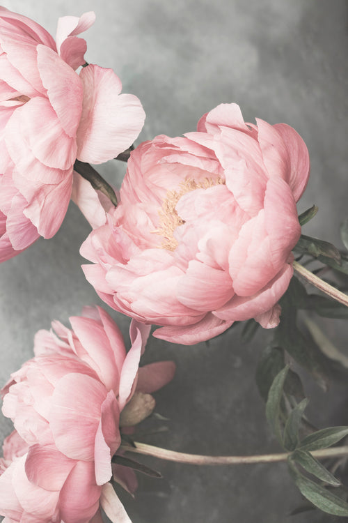 01643 by Kathrin Pienaar