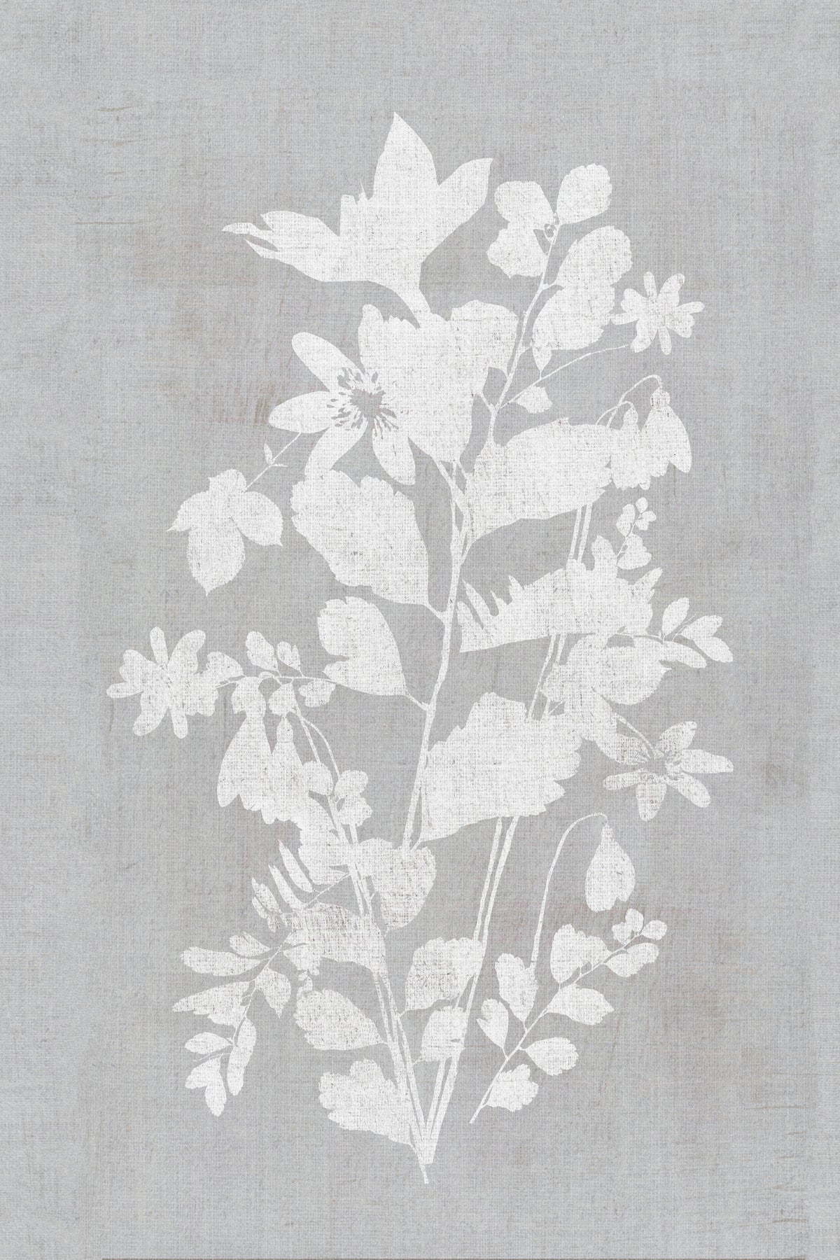 White Floral Silhouette by cartissi