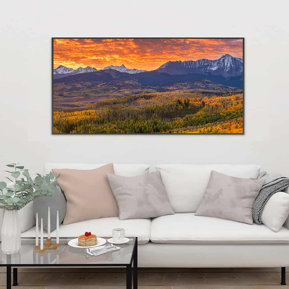 24×48″ Canvas Print