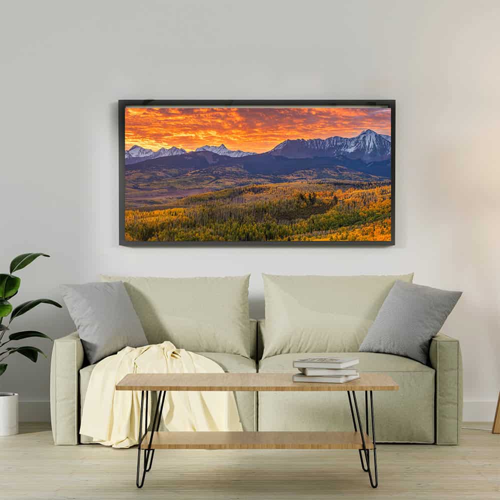24×48″ Canvas Print