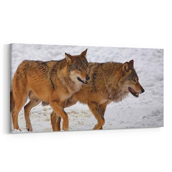 2 Brown Wolves Walking In The Winter Snow Canvas Wall Art
