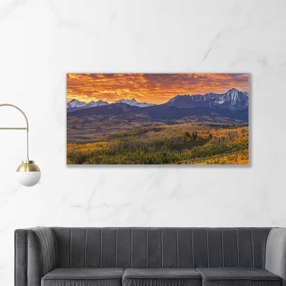 24×48″ Canvas Print