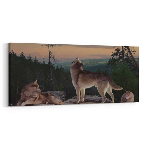 A Pack Of Wolves On The Rock Canvas Wall Art