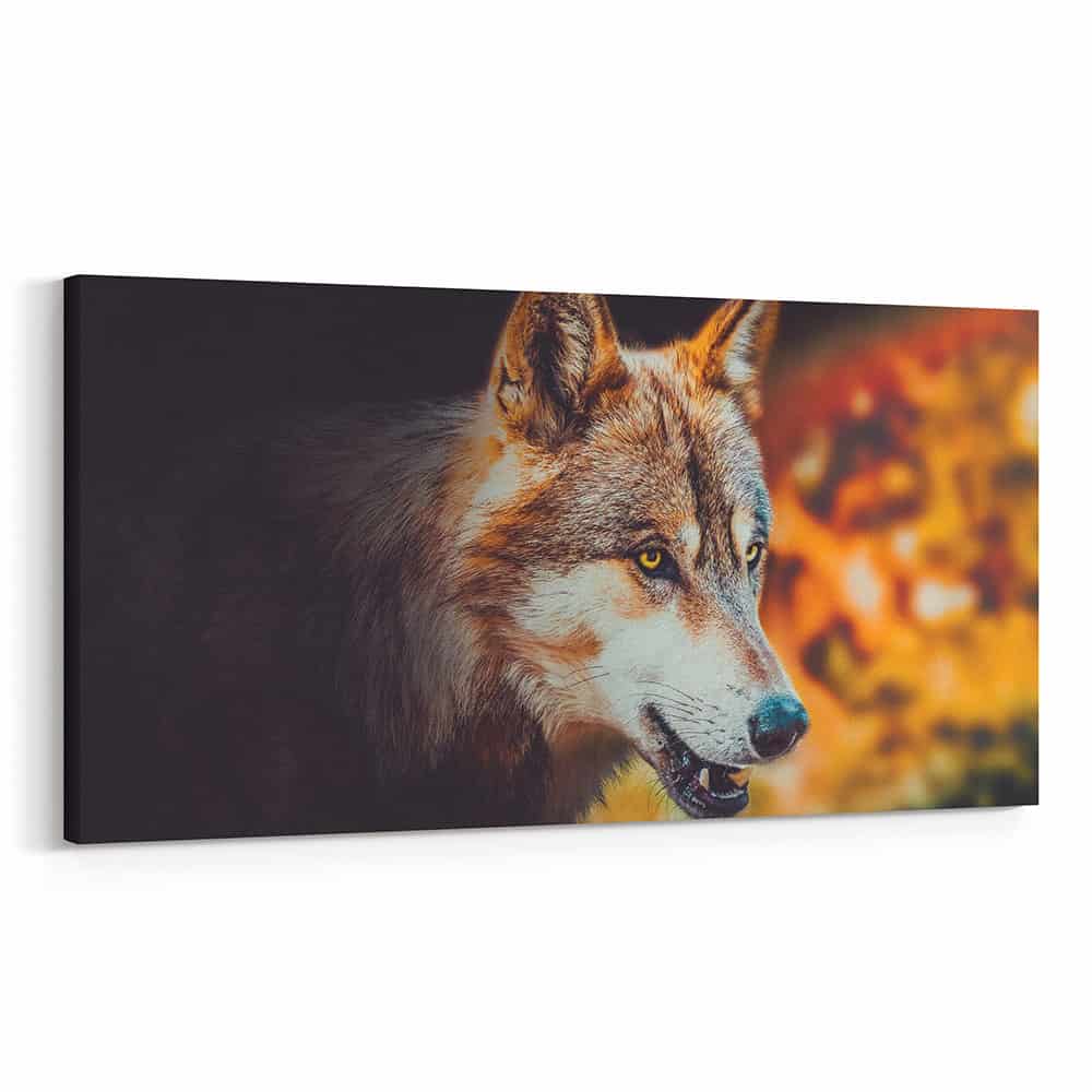 A Wolf With Amber Eyes In Autumn - Close Up Canvas Wall Art