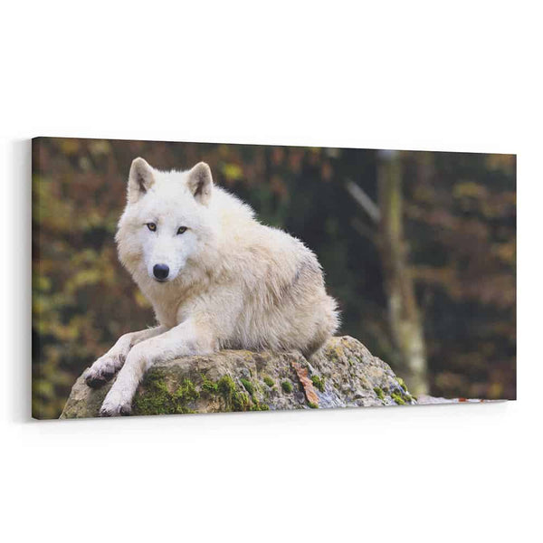 Arctic Wolf Canvas Wall Art