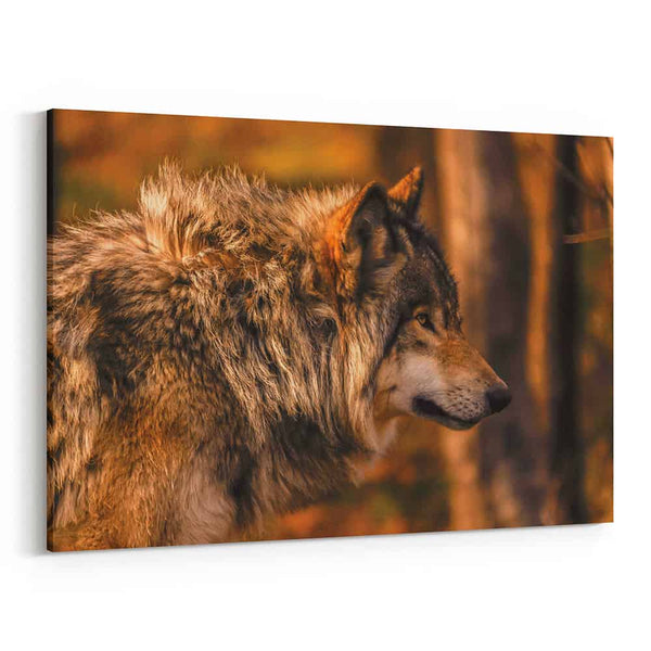 Autumn Wolf Side View Canvas Wall Art