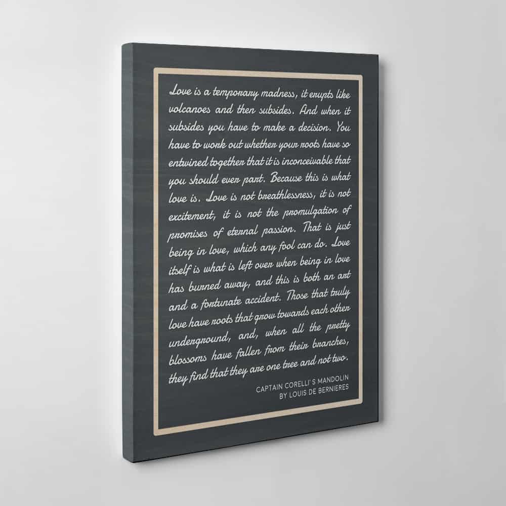 Love Is A Temporary Madness Canvas Print