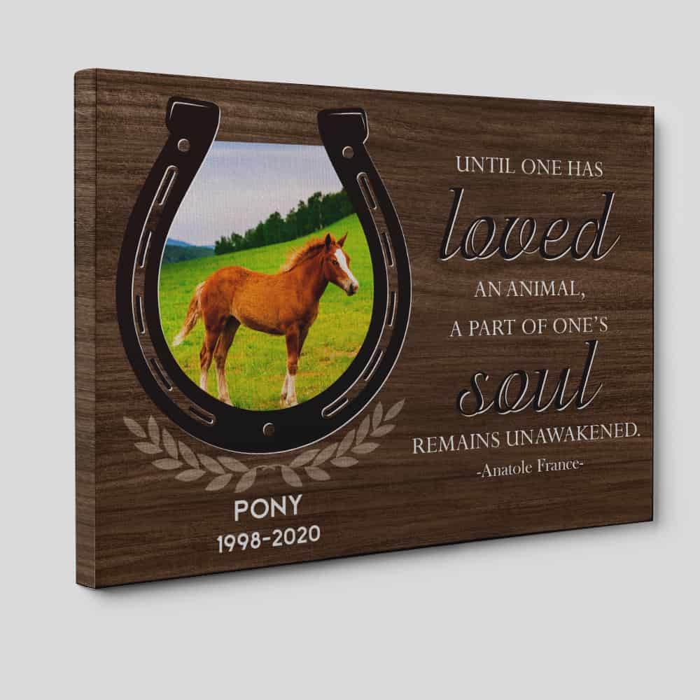 horse picture on canvas print