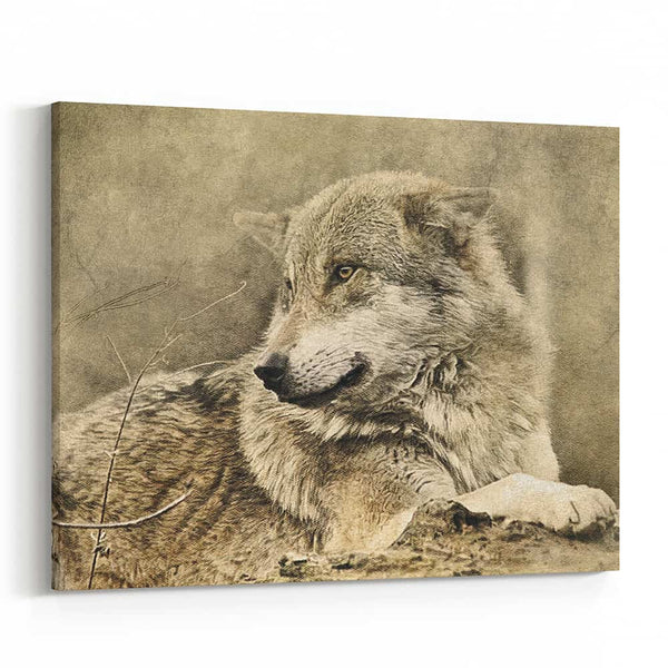 Wolf Lying Down In Forest – Sepia Canvas Wall Art