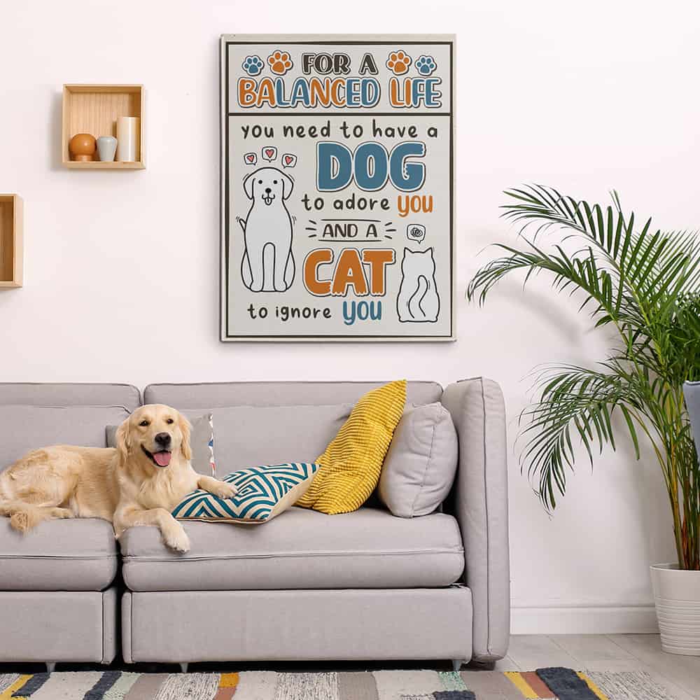 For A Balanced Life - Dog And Cat Funny Canvas Print