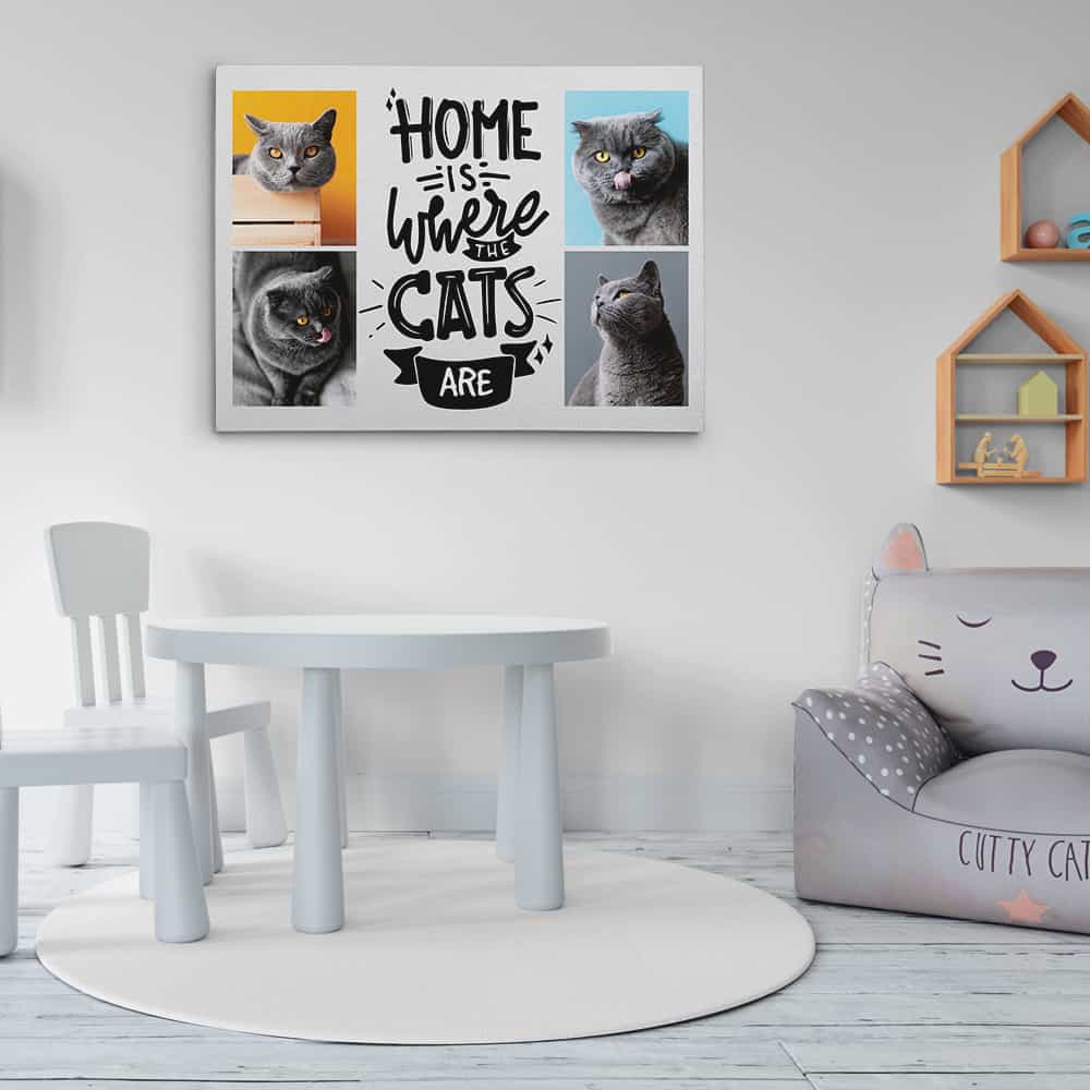 Home Is Where The Cats Are - Photo Collage Canvas Print
