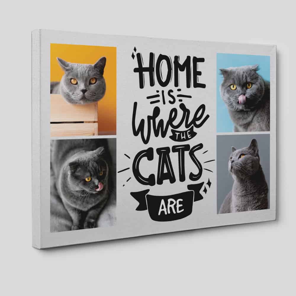Home Is Where The Cats Are - Photo Collage Canvas Print