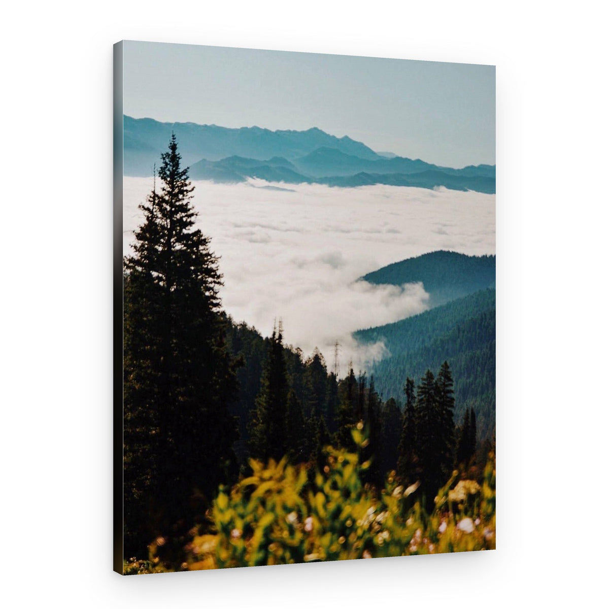 Misty Mountain Forest – Canvas Print