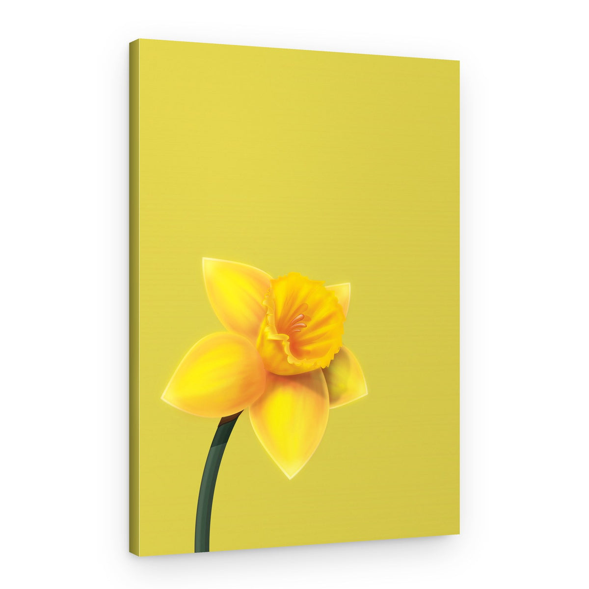 Yellow Daffodil Bloom – Canvas Print