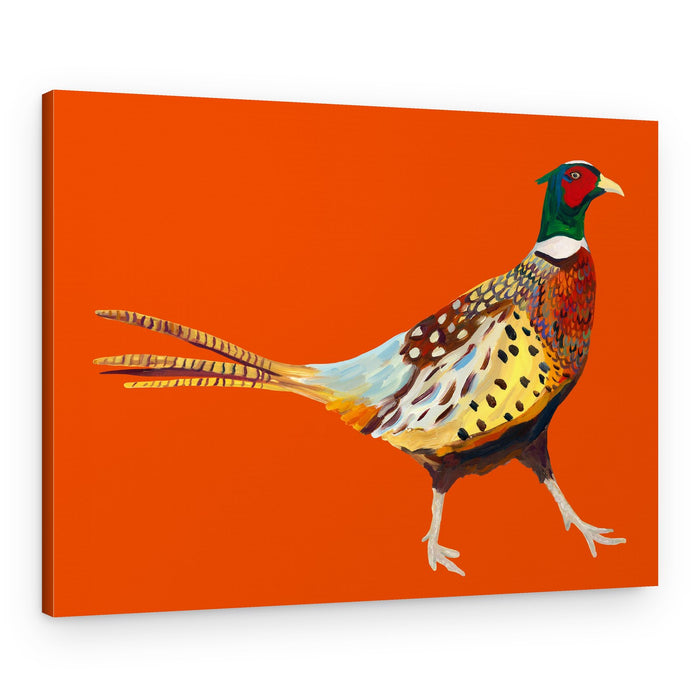 Colorful Walking Pheasant – Canvas Print