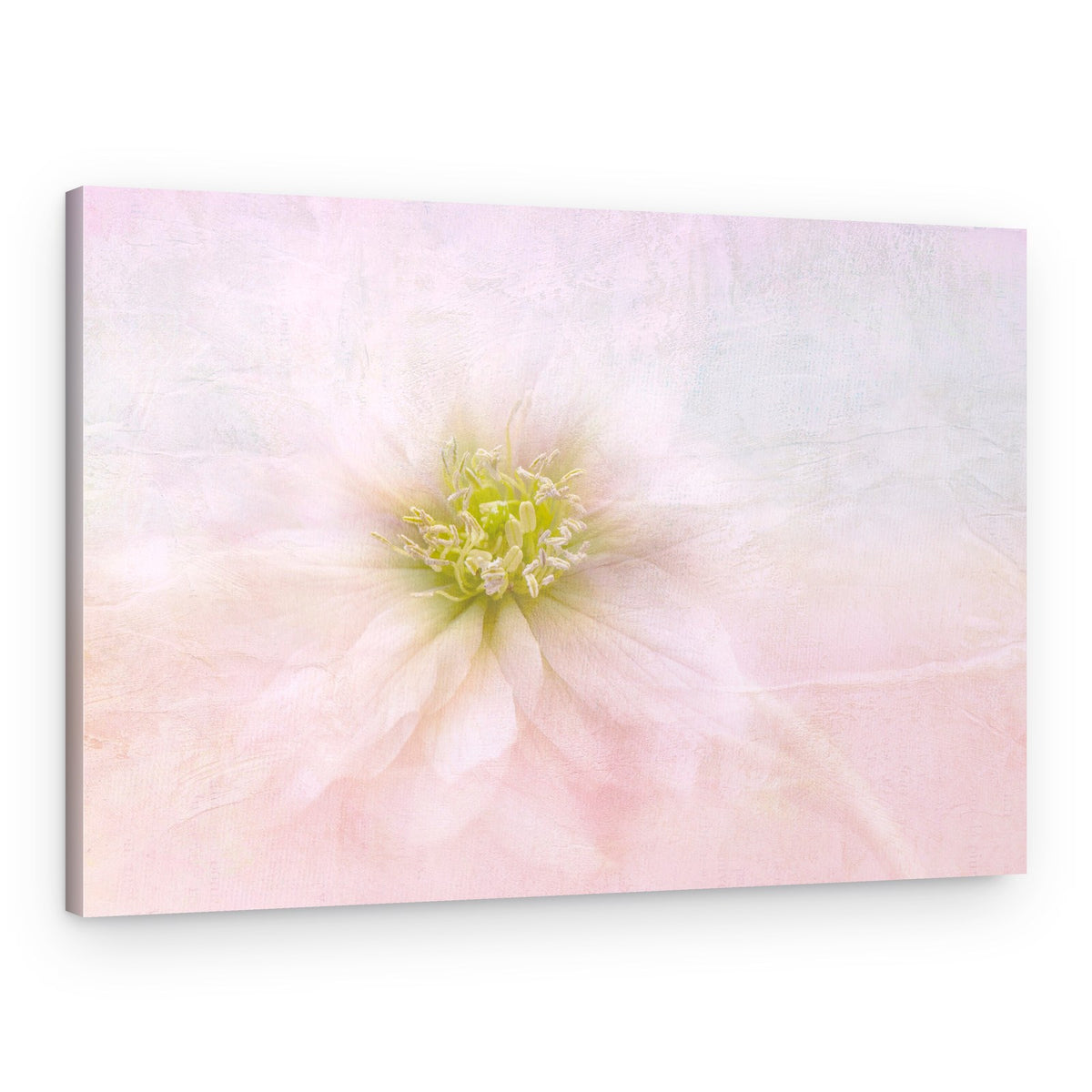 Elegant Pastel Bloom – Canvas Print