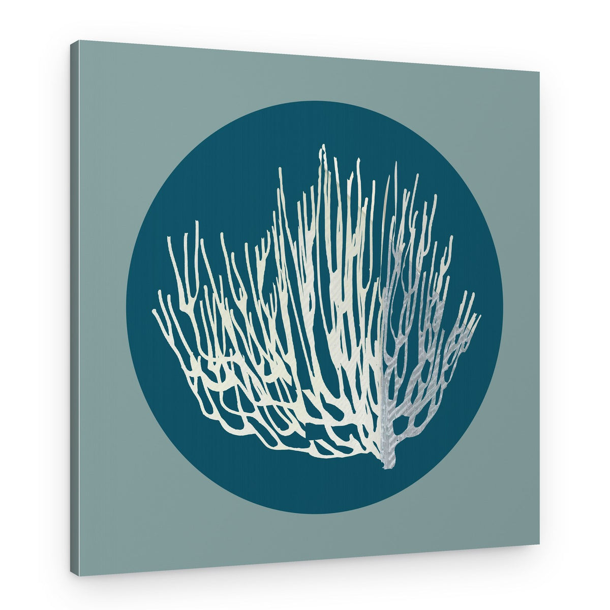 White Marine Coral – Canvas Print