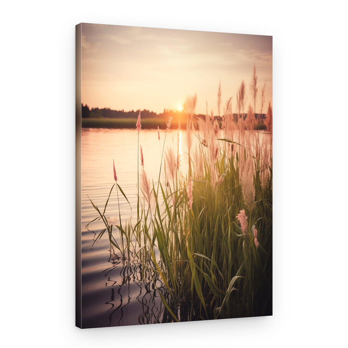 Golden Hour Reeds – Canvas Print