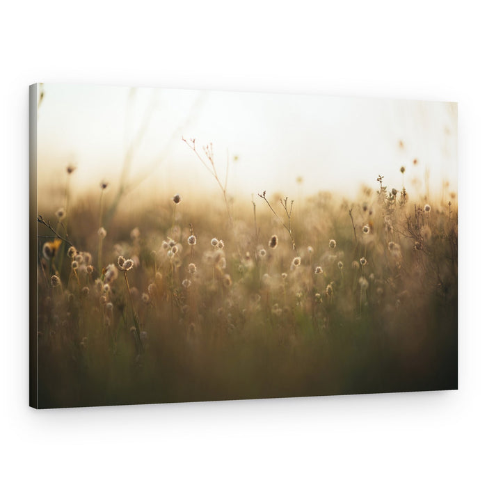 Whispers of Dawn – Canvas Print