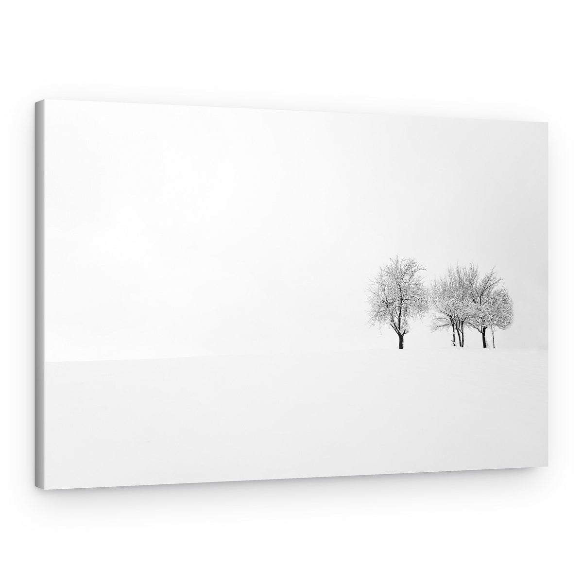 Snowy Winter Trees – Canvas Print