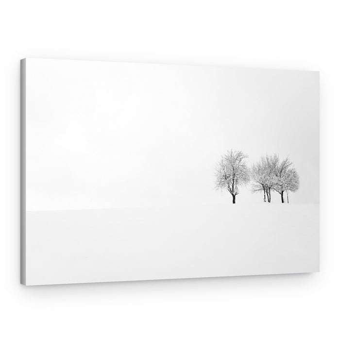 Snowy Winter Trees – Canvas Print