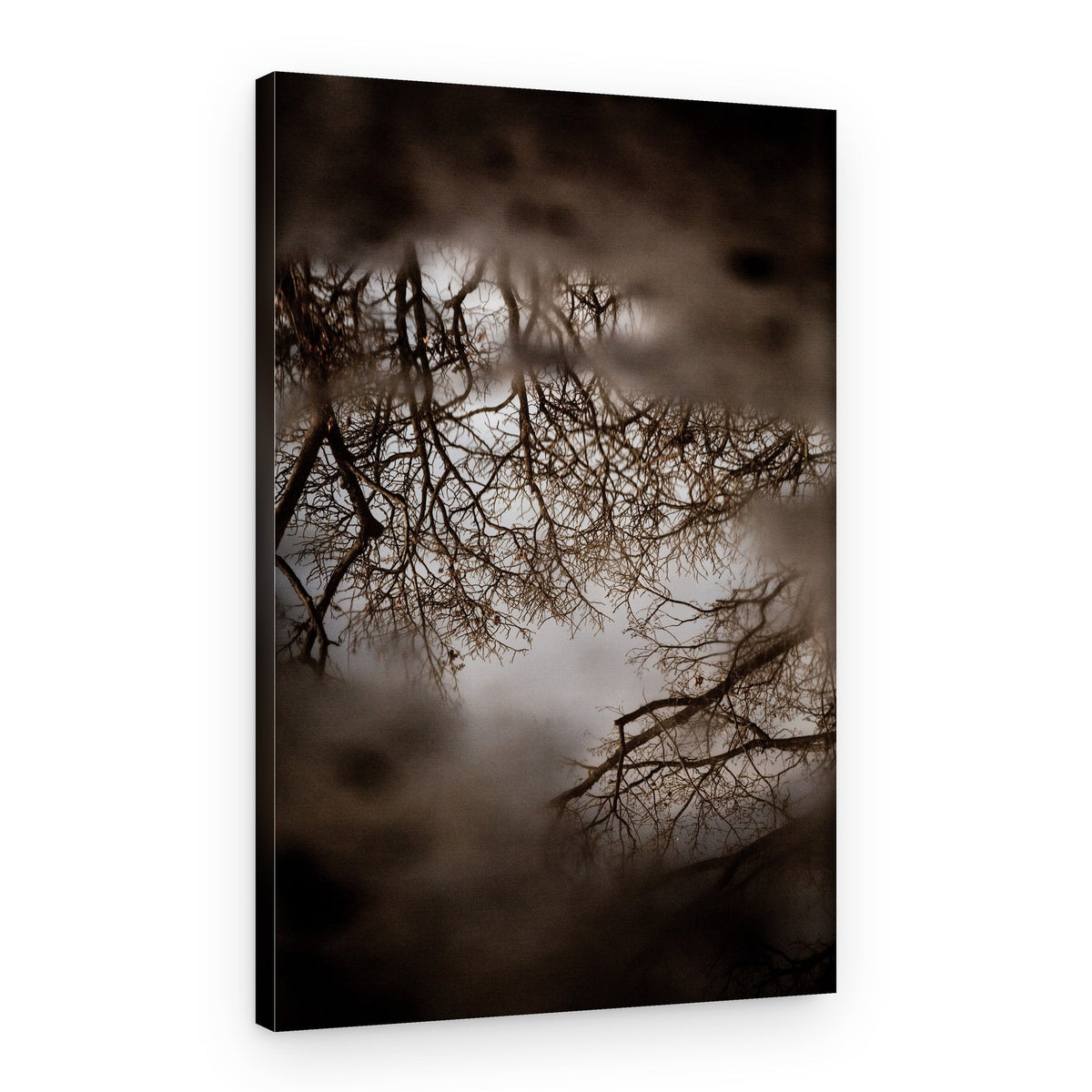Winter Reflections – Canvas Print