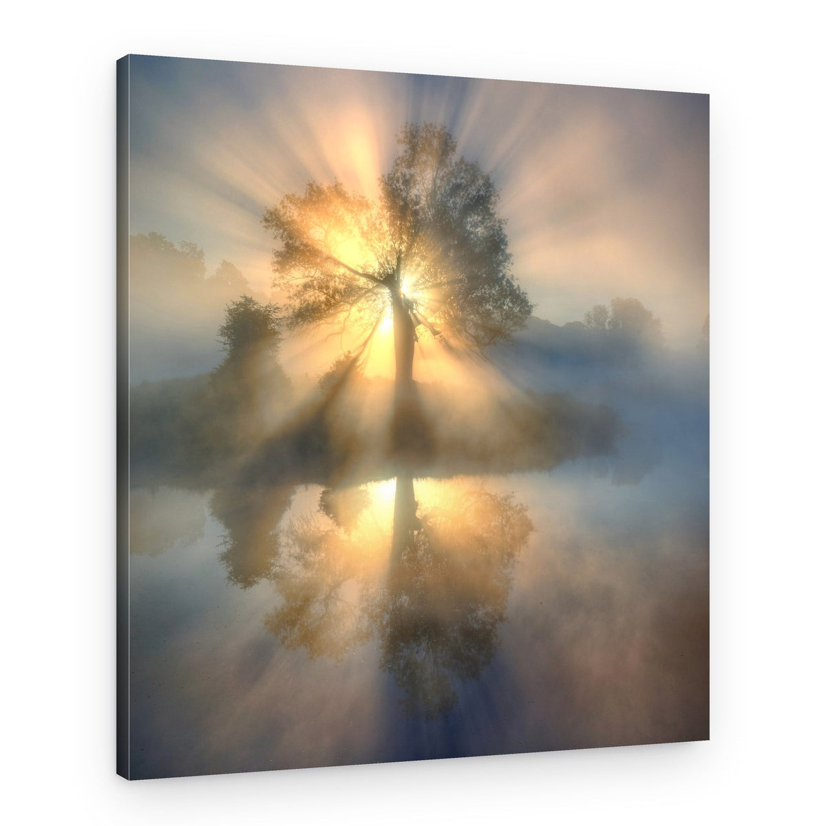 Misty Morning Sunbeams – Canvas Print
