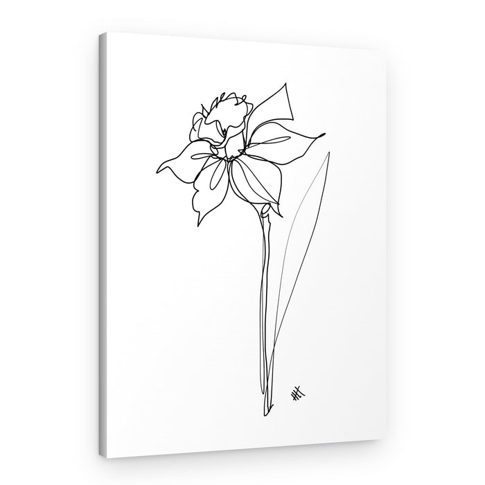 Elegant Daffodil Line Drawing – Canvas Print