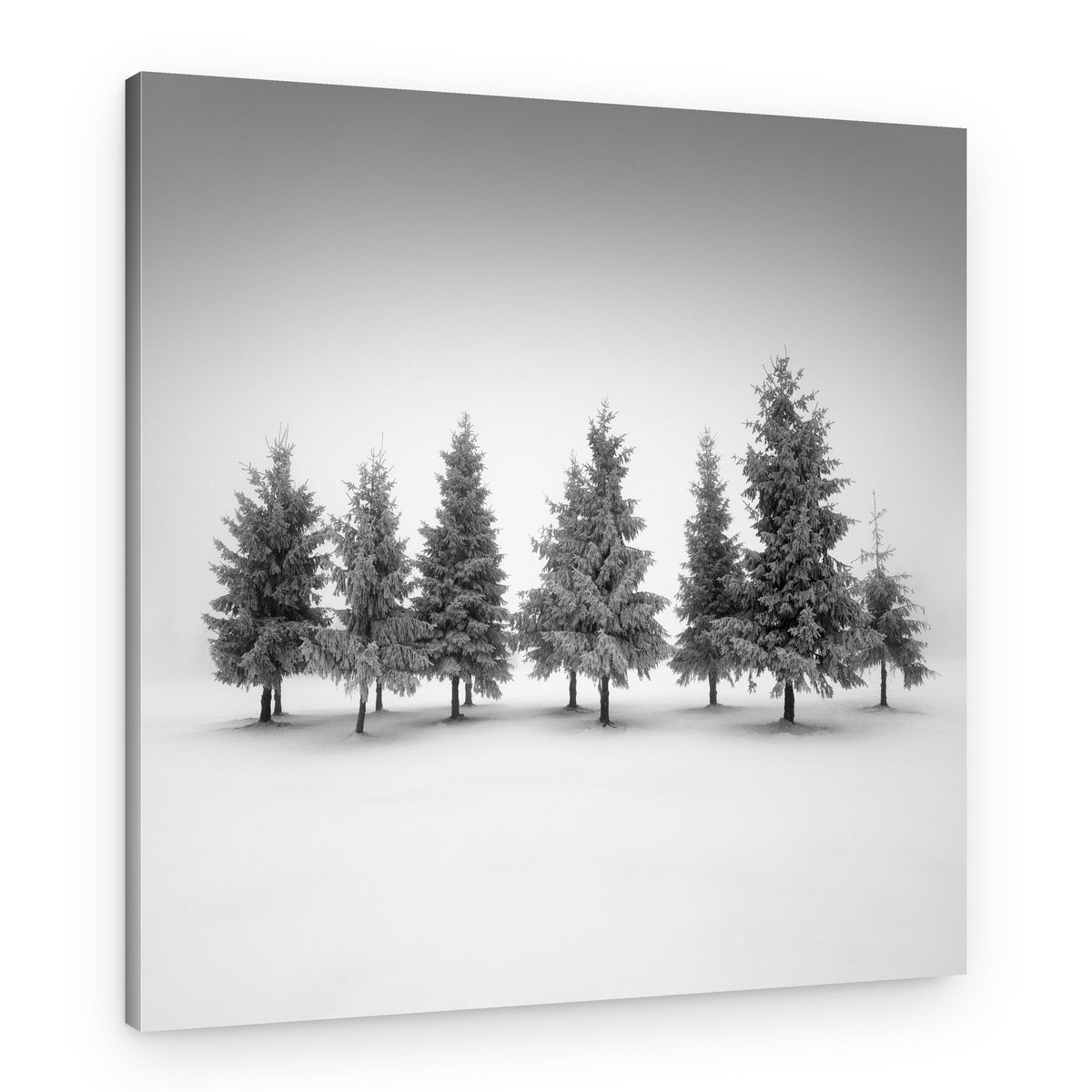 Snowy Forest – Canvas Print