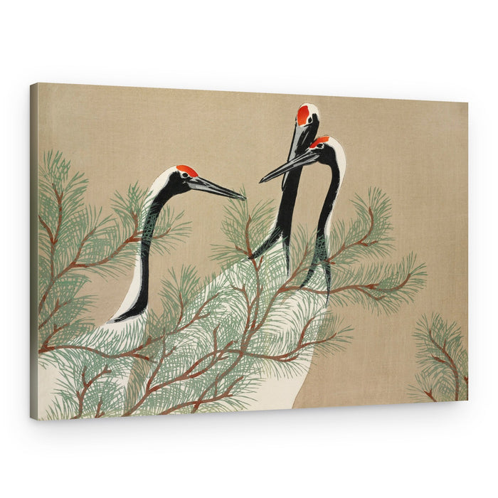 Cranes From Momoyogusa – Canvas Print