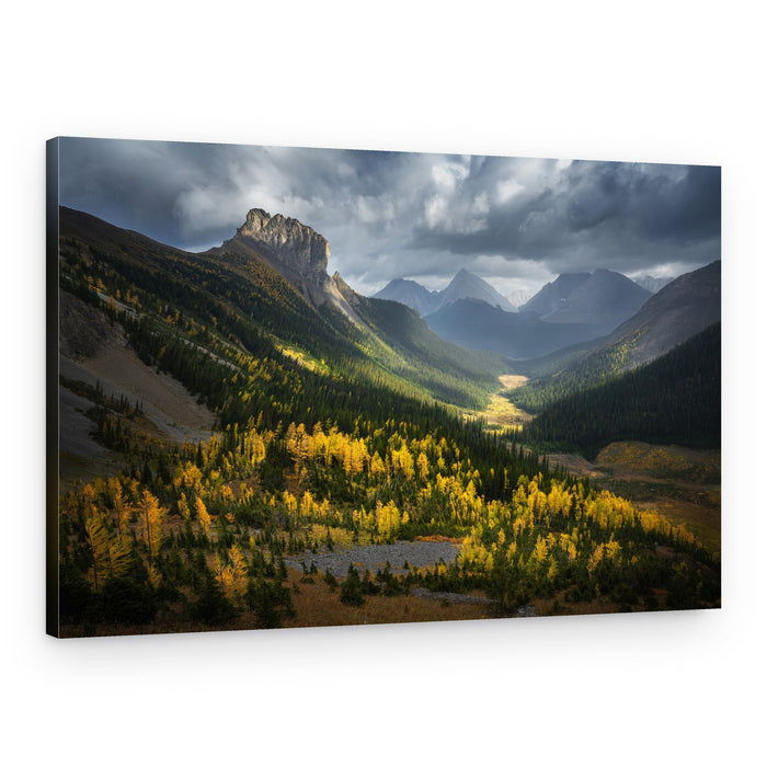 Golden Valley Sunlight – Canvas Print