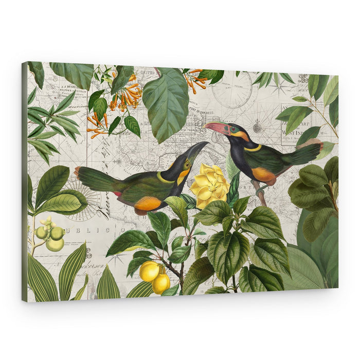 Tropical Toucans Map – Canvas Print