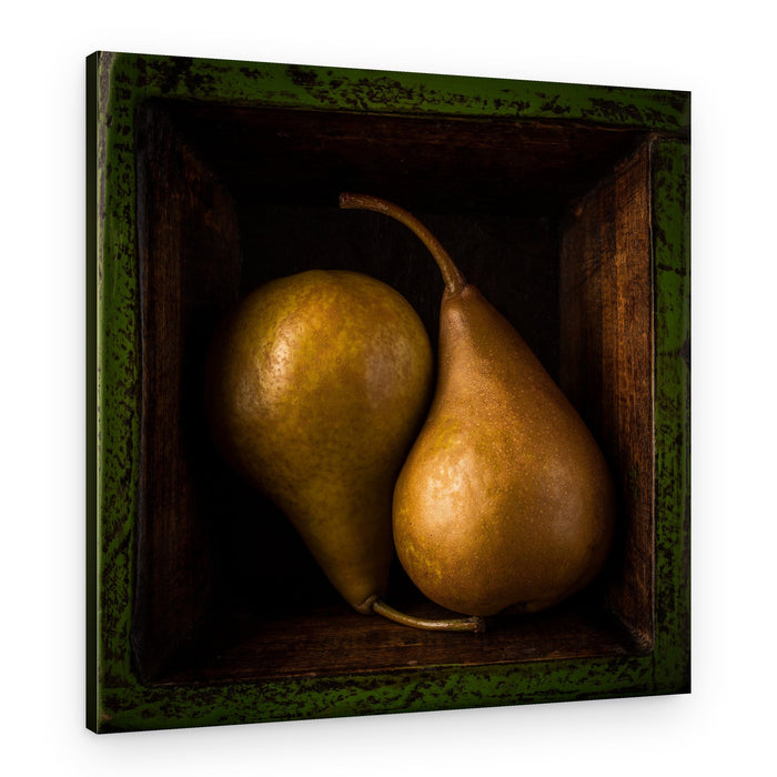 Two Golden Pears – Canvas Print