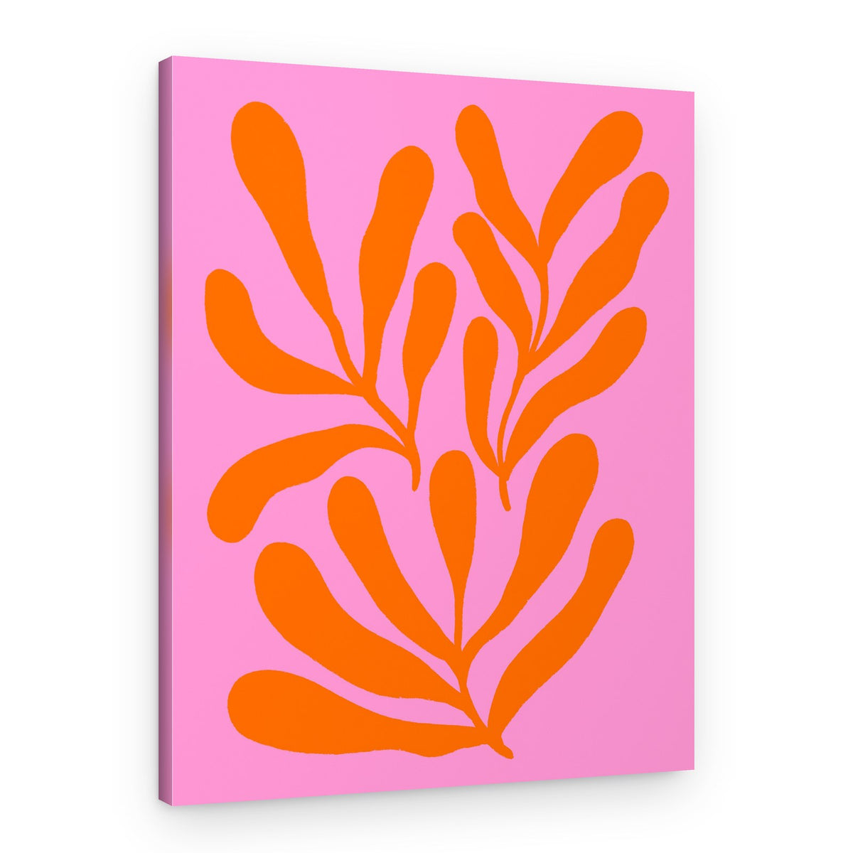 Modern Abstract Botanical – Canvas Print