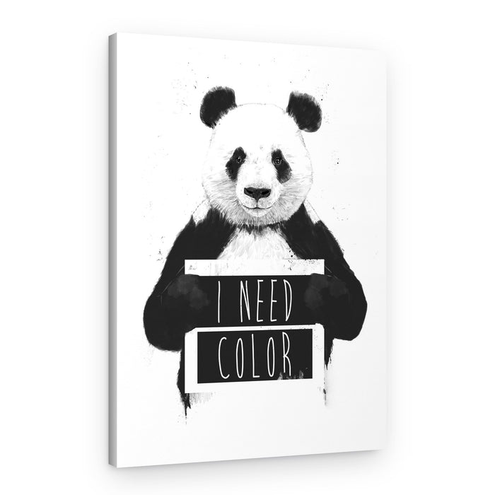Panda Needs Color – Canvas Print