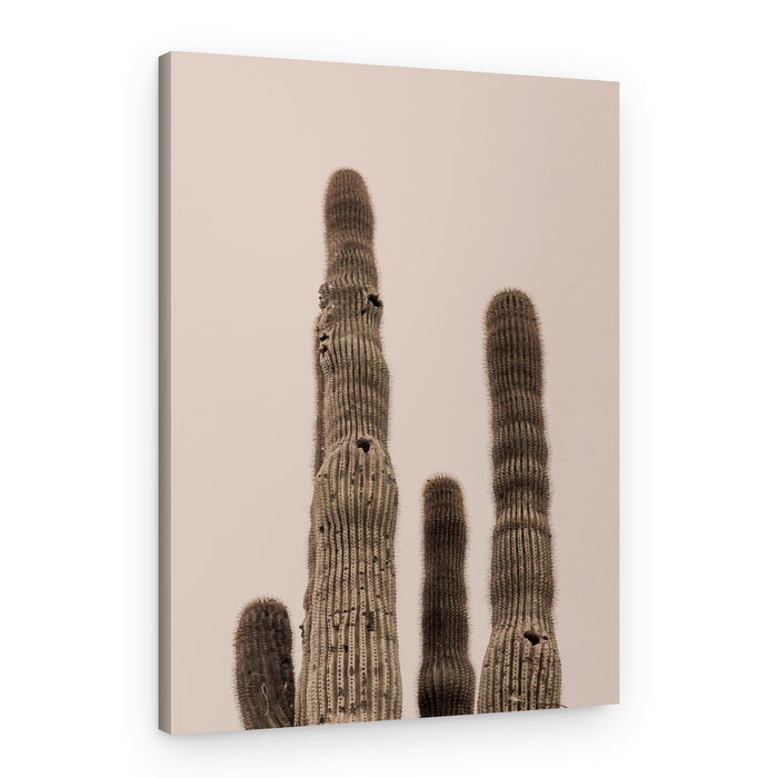 Tall Saguaro Cacti – Canvas Print