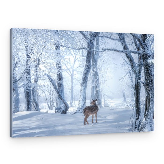 Serene Winter Deer – Canvas Print