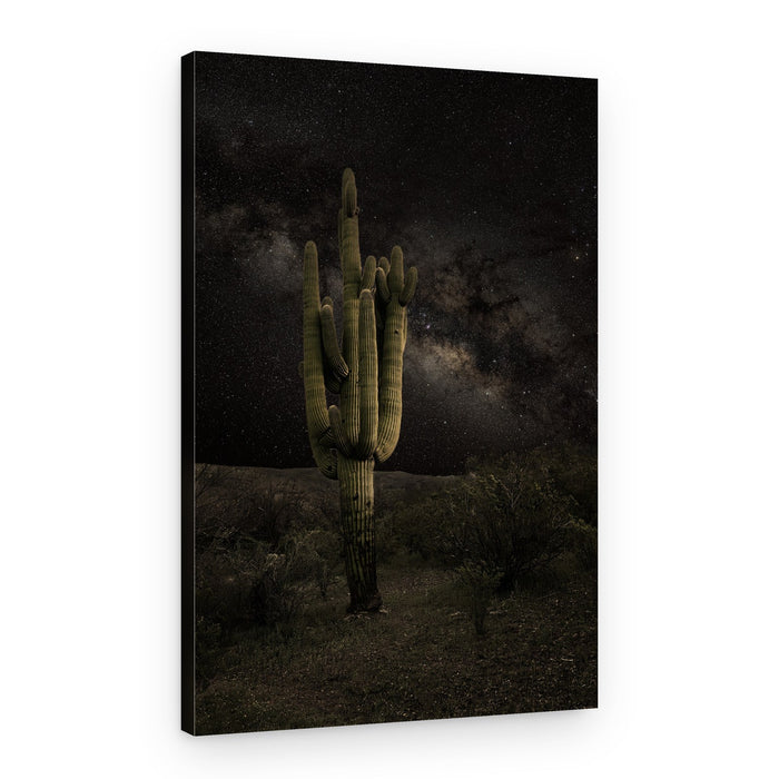 Saguaro Cactus Milky Way – Canvas Print