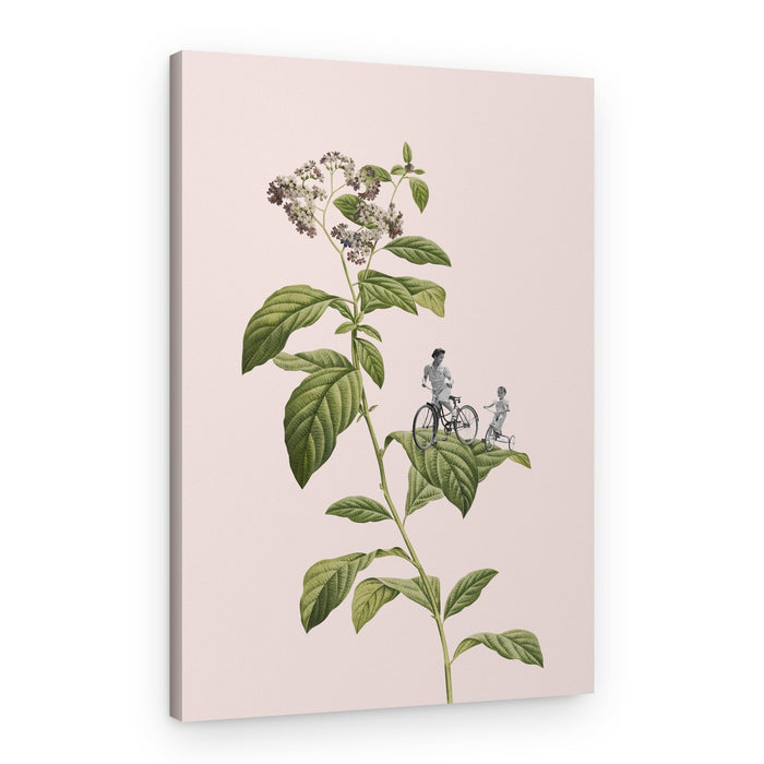 Botanical Bike Dreams – Canvas Print