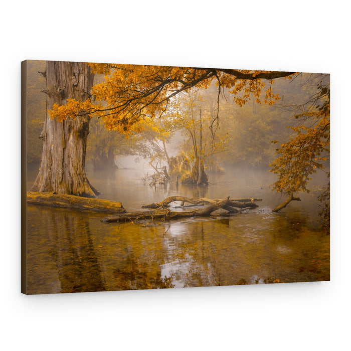Misty Autumn River – Canvas Print