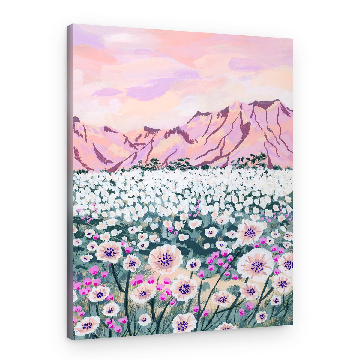 Pink Mountain Bloom – Canvas Print