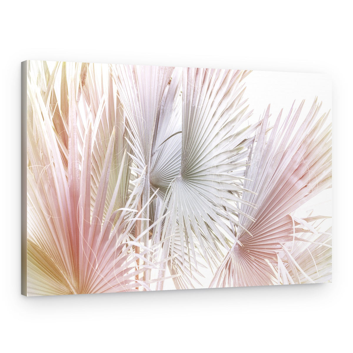 Palma – Canvas Print