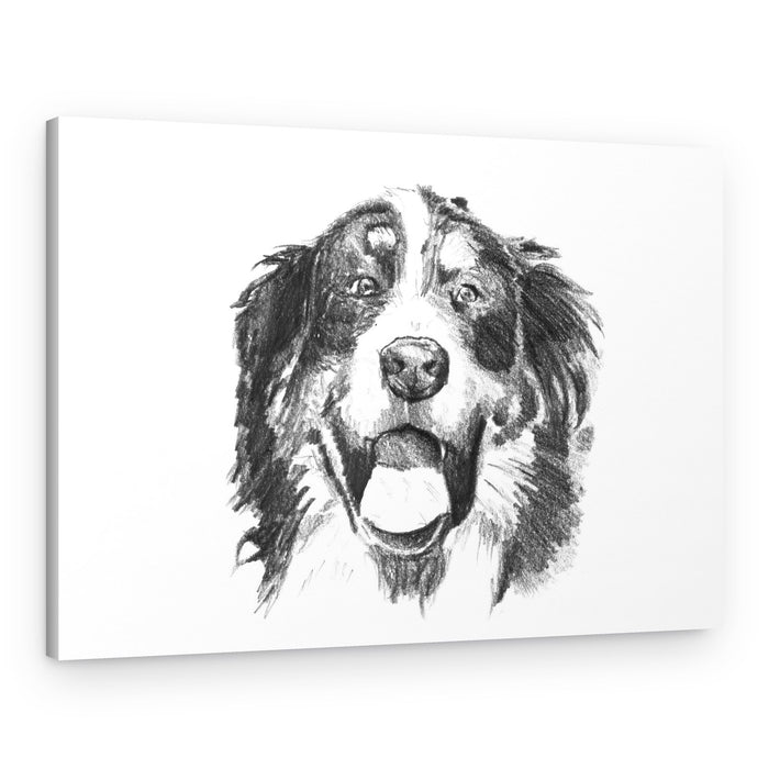 Smiling Bernese Dog – Canvas Print