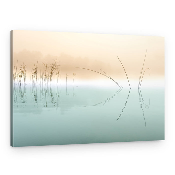 Misty Reeds Reflection – Canvas Print