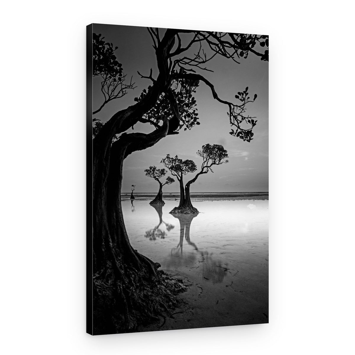Moody Mangrove Landscape – Canvas Print