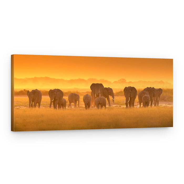 African Elephants Golden Hour – Canvas Print